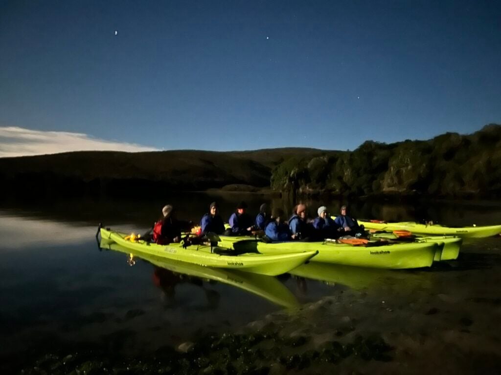 Bioluminescence Tours: Glow in the Night Water