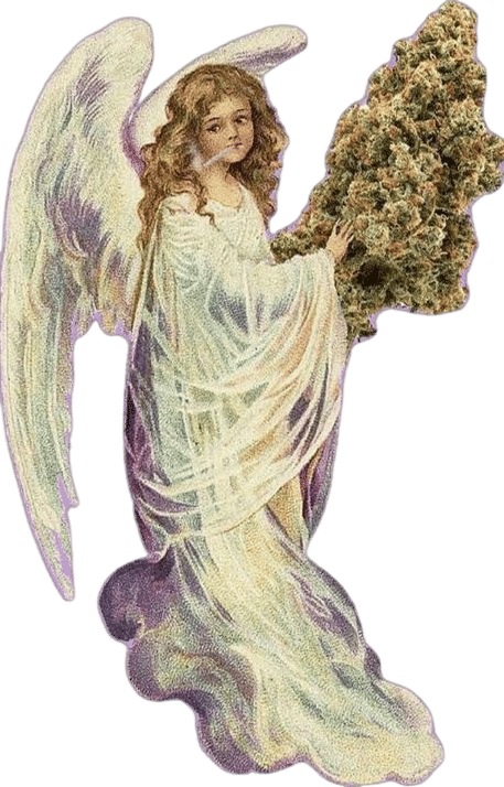 biblically accurate photo of me
