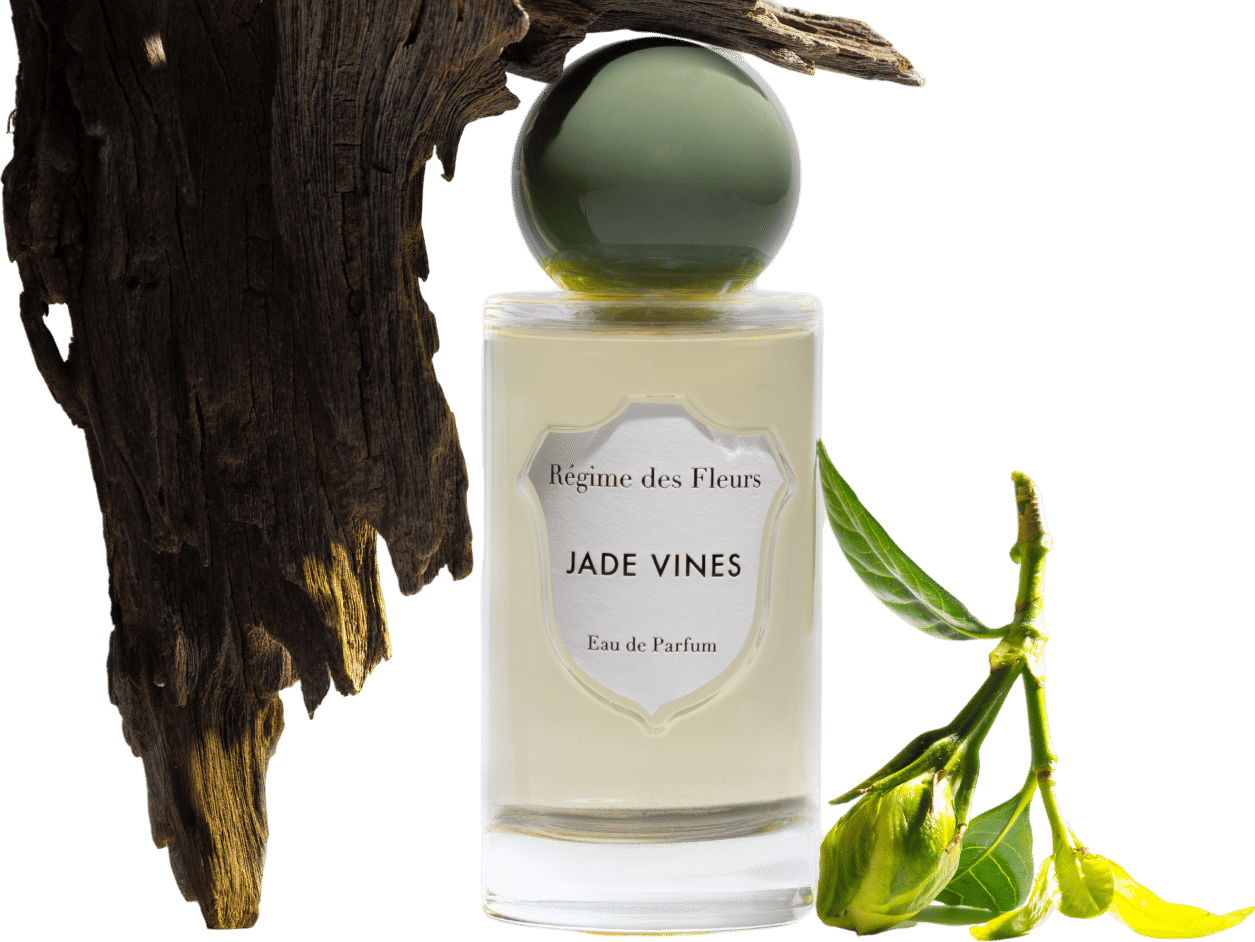JADE VINES Regime des Fleurs