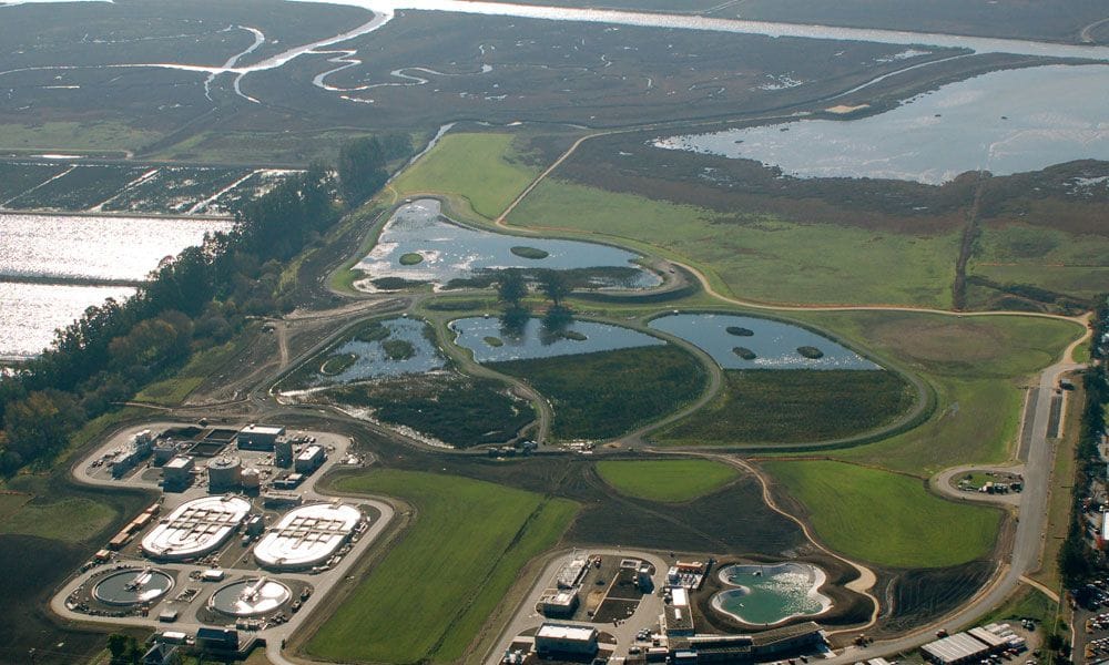 PETALUMA WETLANDS PARK
