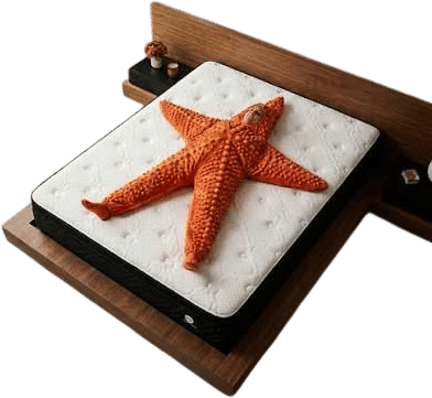 Starfishing in bed