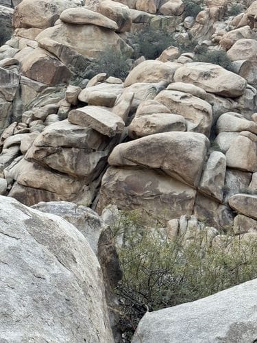 Rattlesnake Canyon