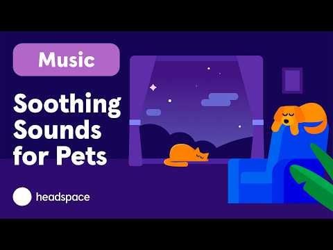 Headspace for pets