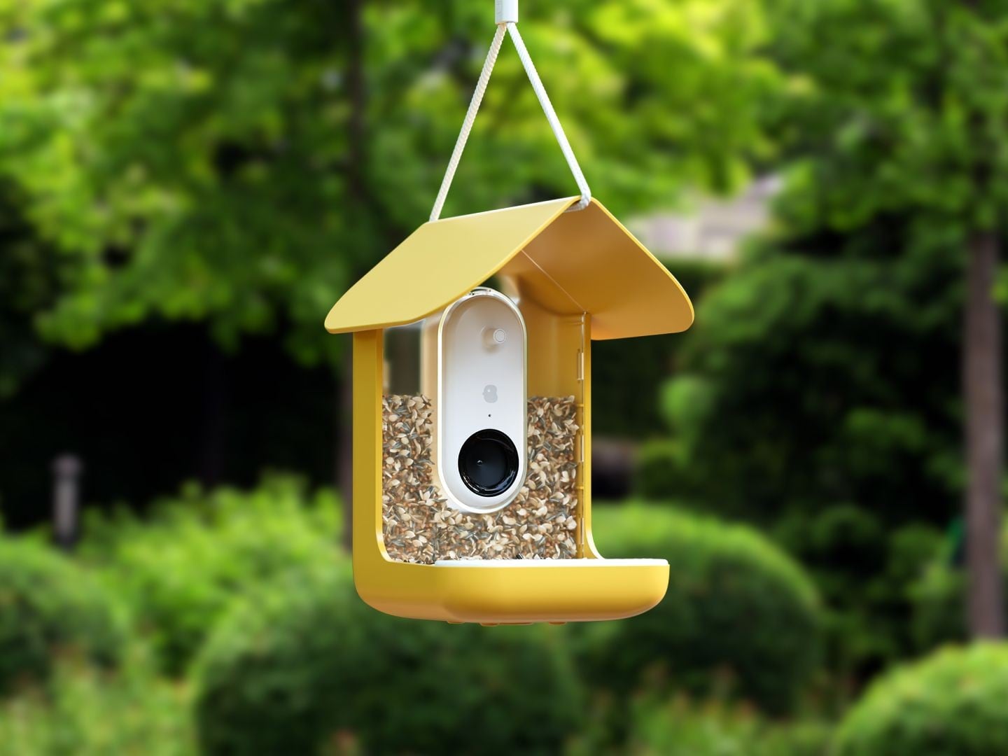 Replace Your Ring Camera With Birdbuddy