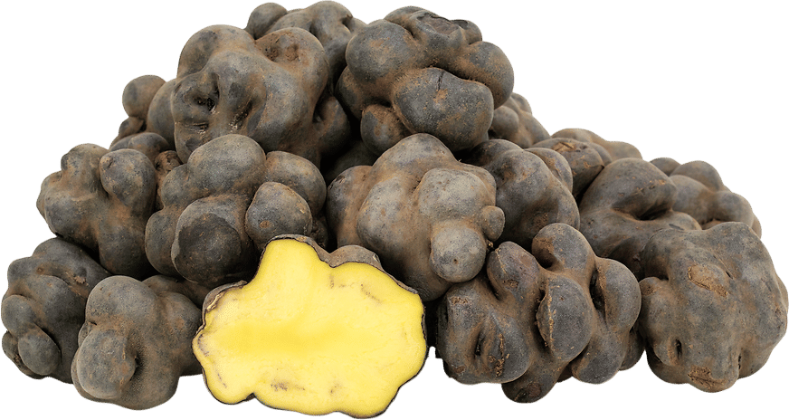 Colorful potatoes