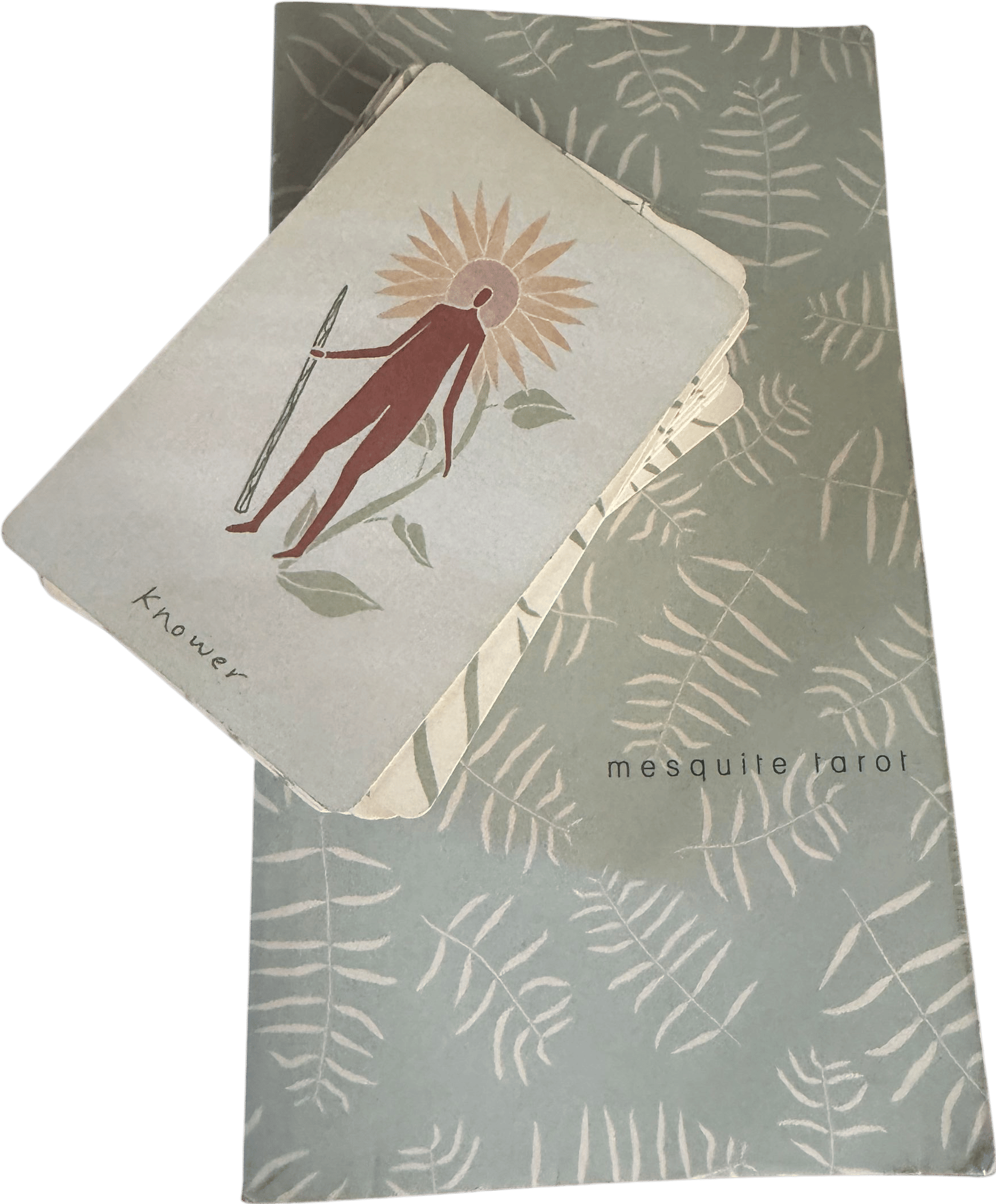The mesquite tarot