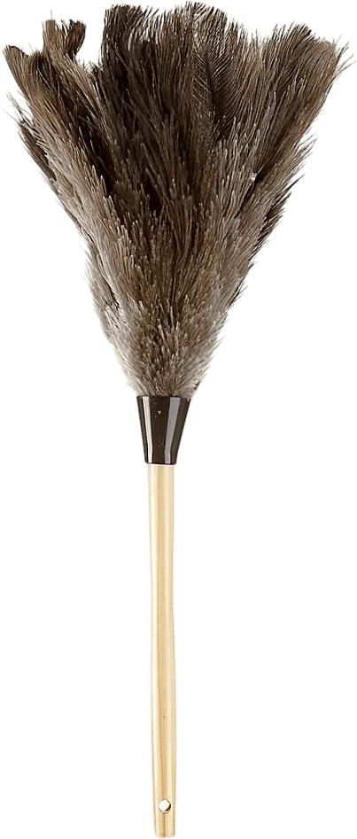 Professional Ostrich Feather Duster
