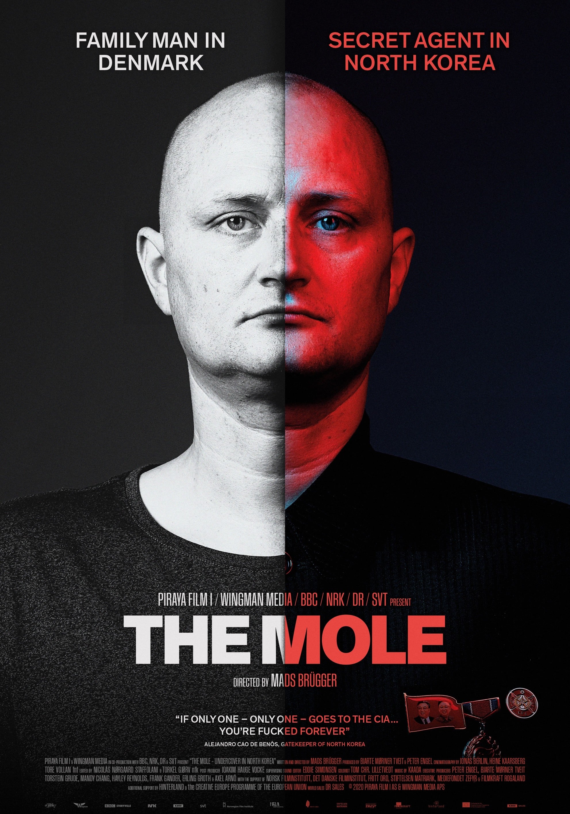 The Mole