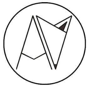 androgynous fox