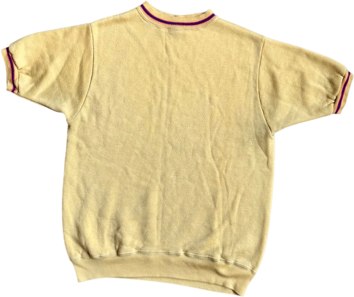 Vintage 1960s Mayo Spruce Yellow Striped Short Sleeve Sweatshirt | Med