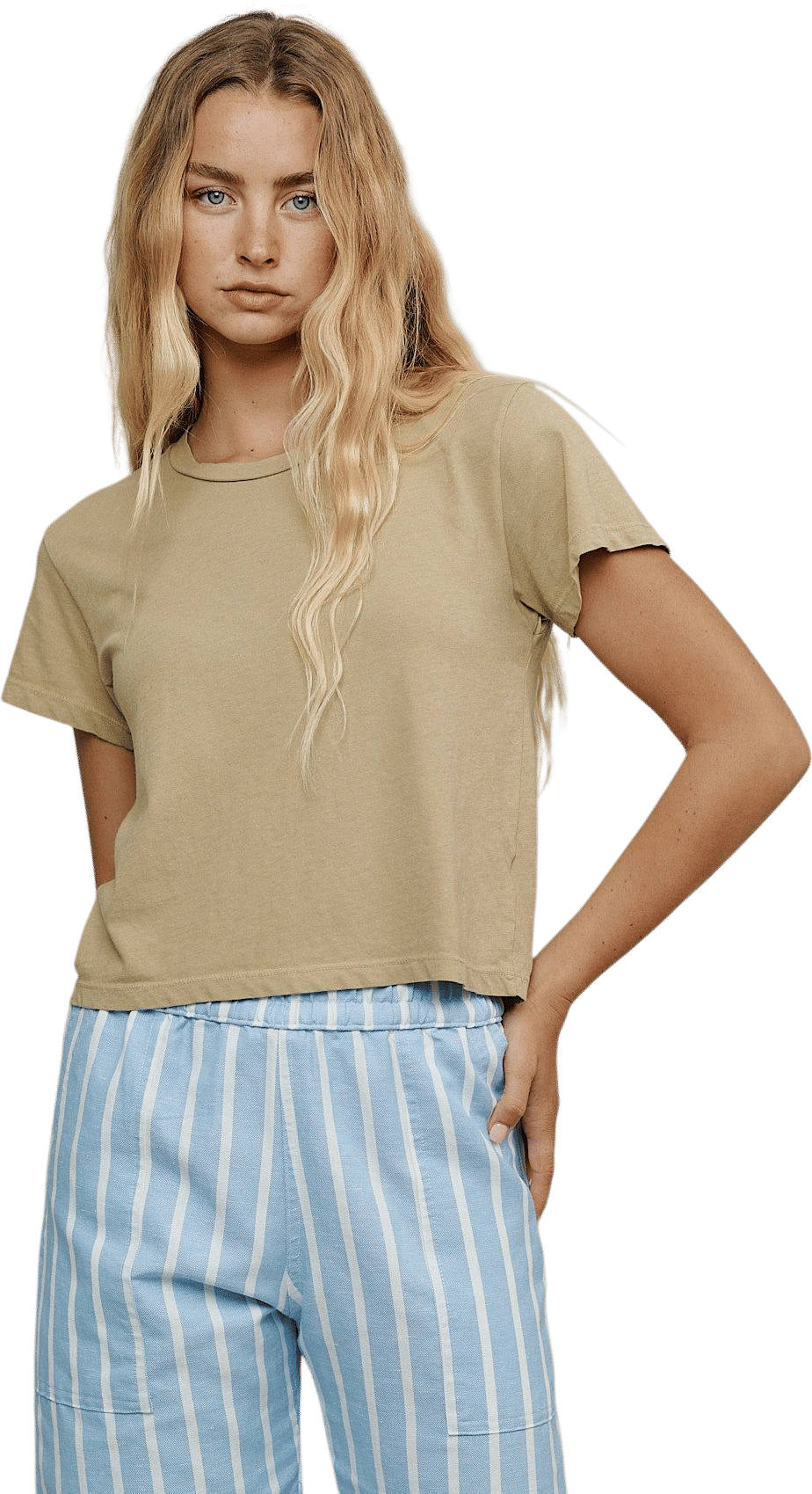 Jungmaven Cropped Ojai Tee