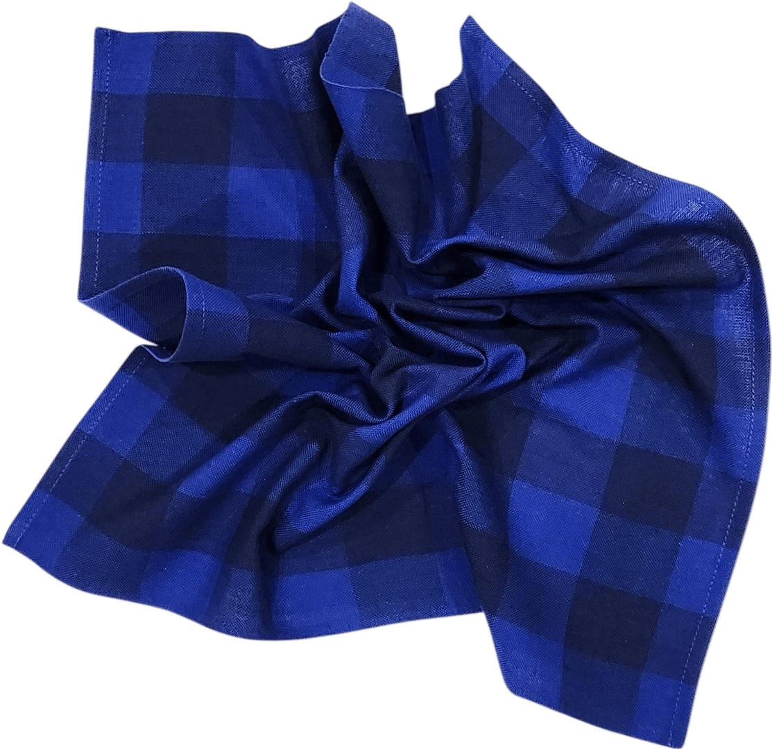 Big Gingham Napkin - Cascade