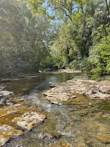 Going to the Creek