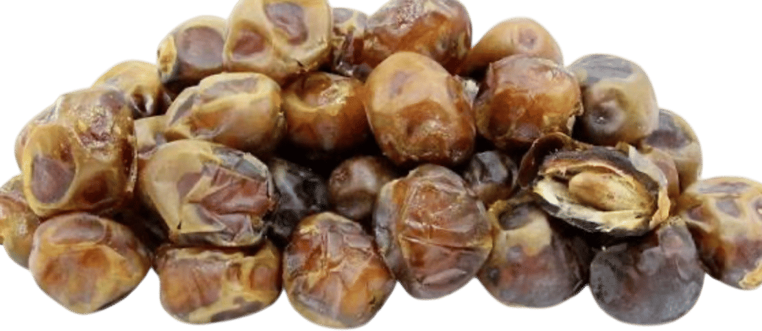 Bahri Dates