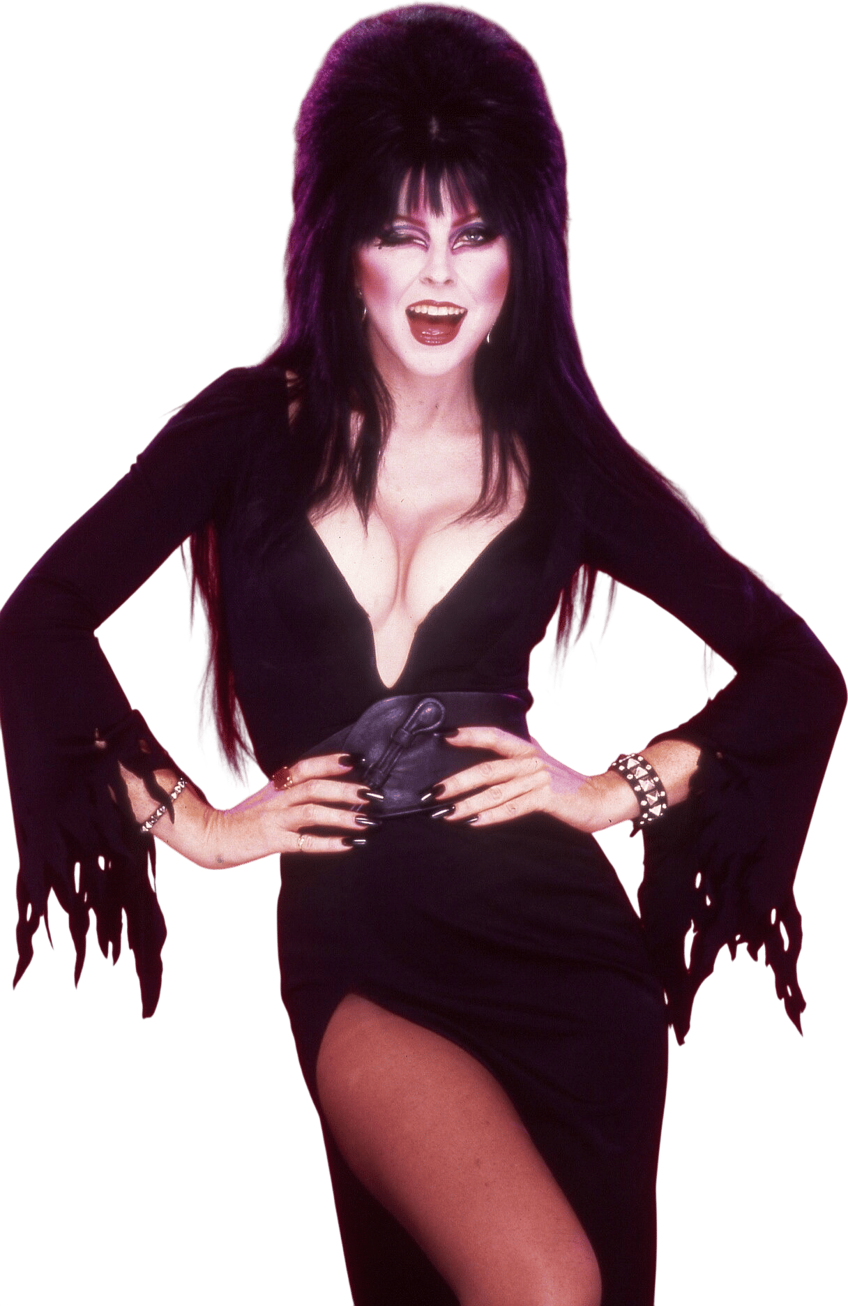 Elvira, Mistress of the Dark 🦇