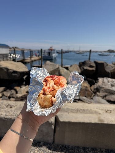Lobster pound in Rye NH 🦞✨