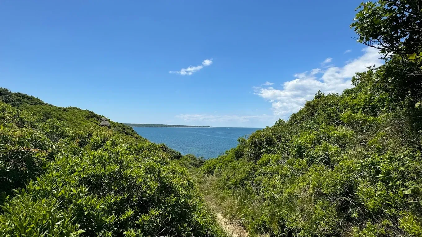 Menemsha Hills Reservation Beach