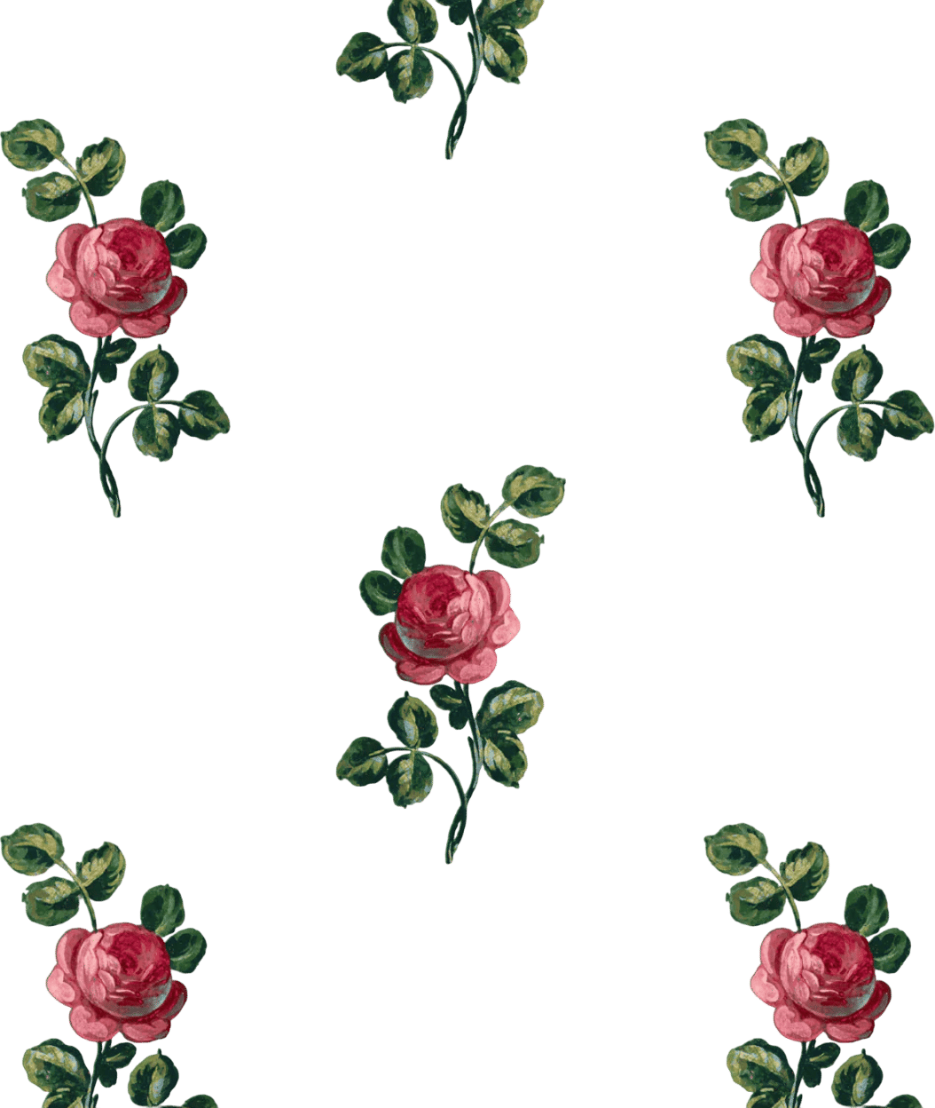 'Corsage' Wallpaper by Clare V. - Fern Rose