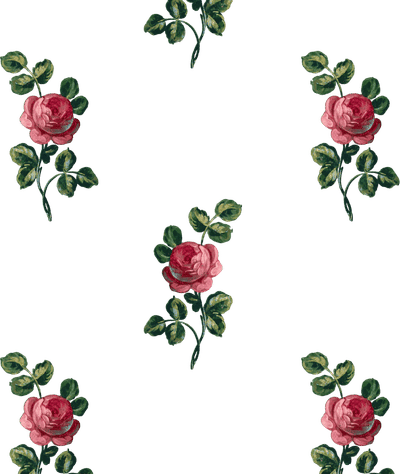'Corsage' Wallpaper