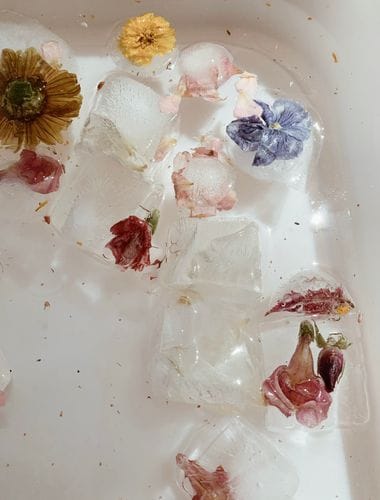 Freezing Flowers in Ice