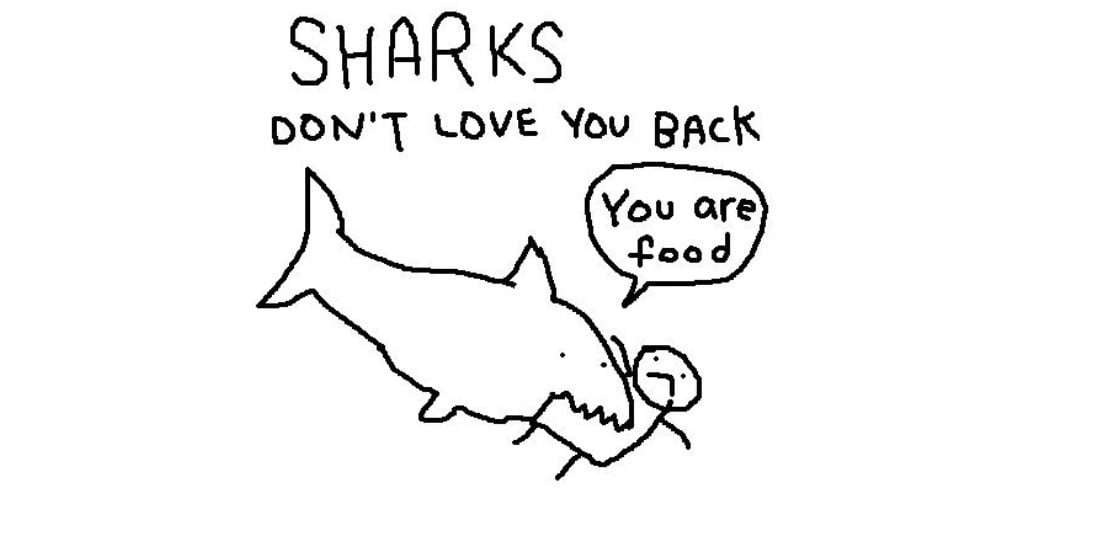 A Way of Seeing, c/o Kate Beaton