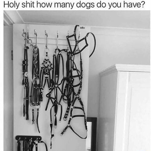 dark room