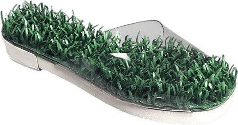 Members-Only Recommendation