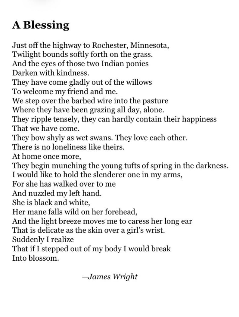 “A Blessing” by James Wright
