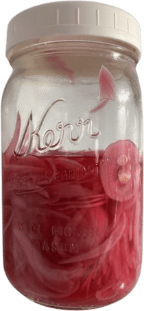 Pickled Red Onions Recipe