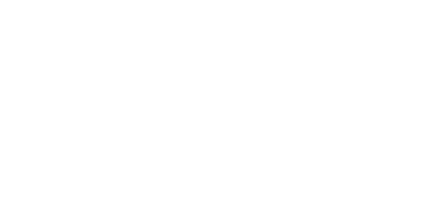Root Wild Kombucha
