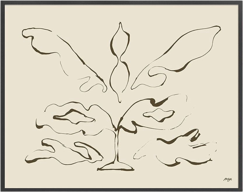 Lys