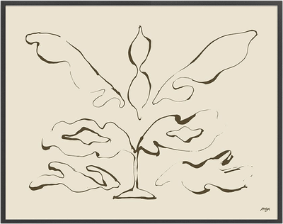 Lys