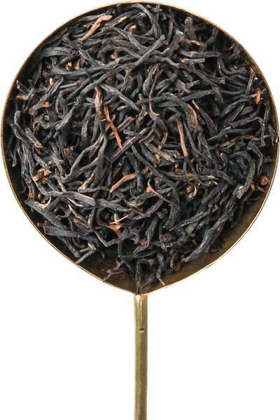 Wuyi Black