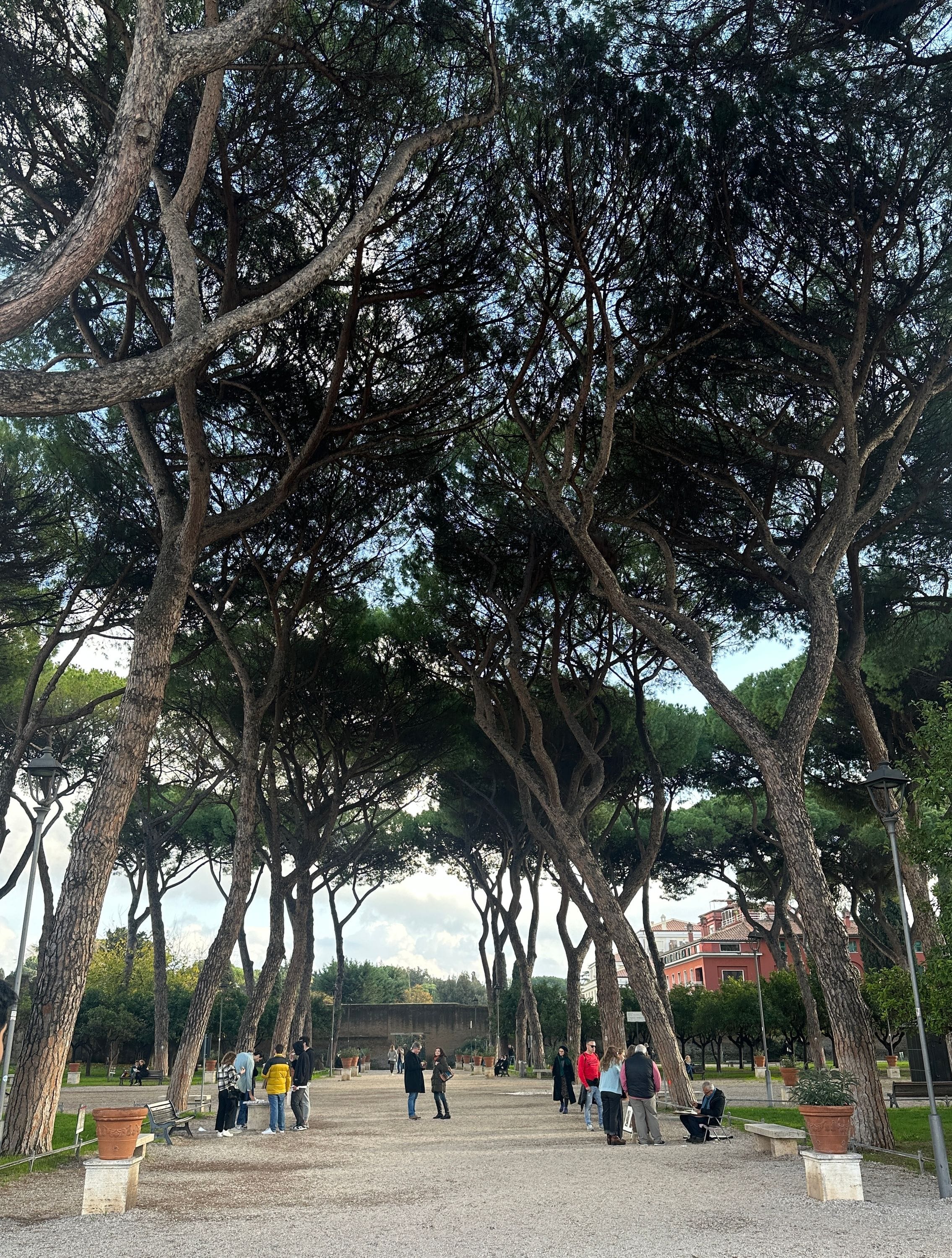 Parco Savello - Giardino degli Aranci