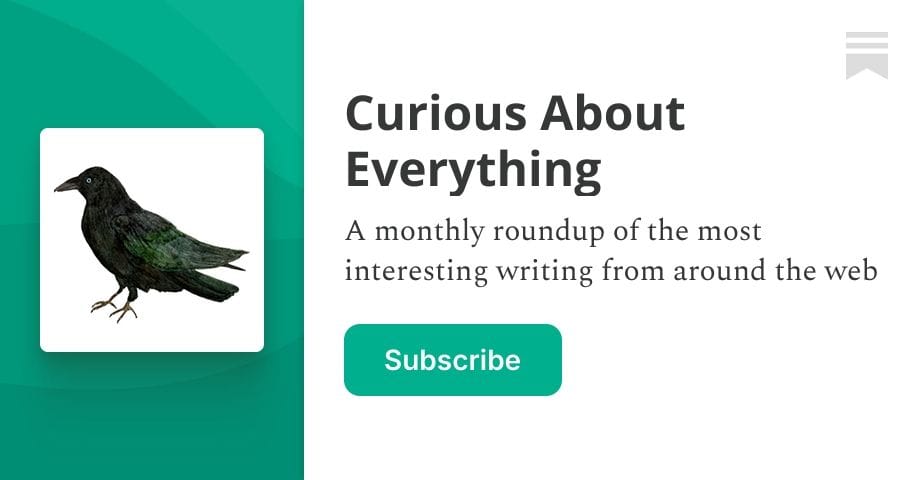 the curious about everything newsletter