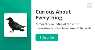 The Curious About Everything Newsletter