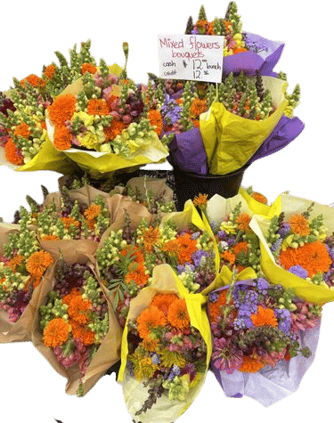 GrowNYC Farmers Market Flowers