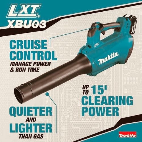 A Good Leaf Blower
