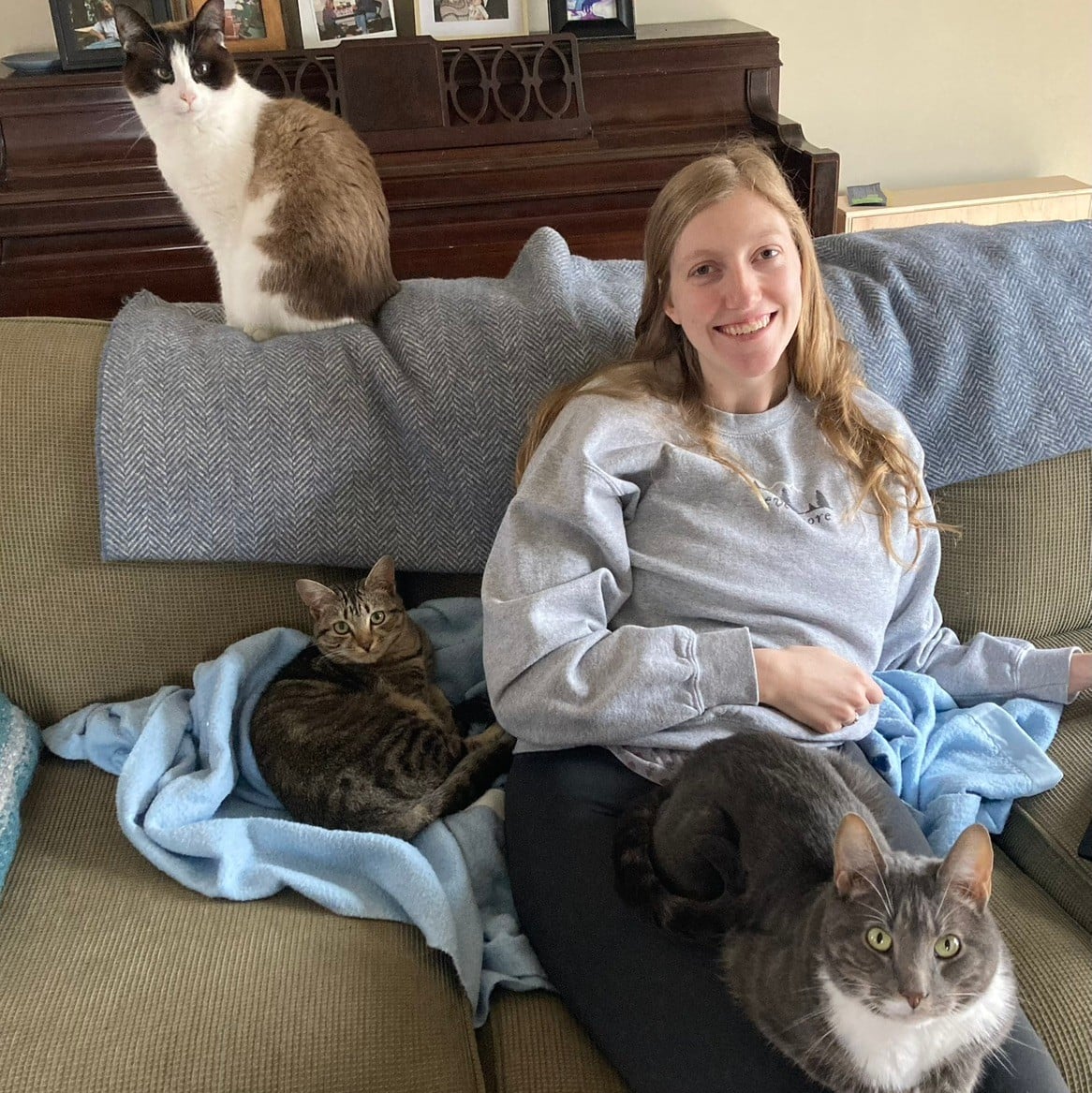 Cats!!!