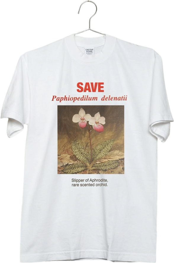 Vietnamese slipper orchid tee