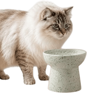 Elevated, Whisker-friendly Pet Bowls 🐱