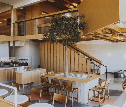 Coffee Shops That Keep Us Caffeinated