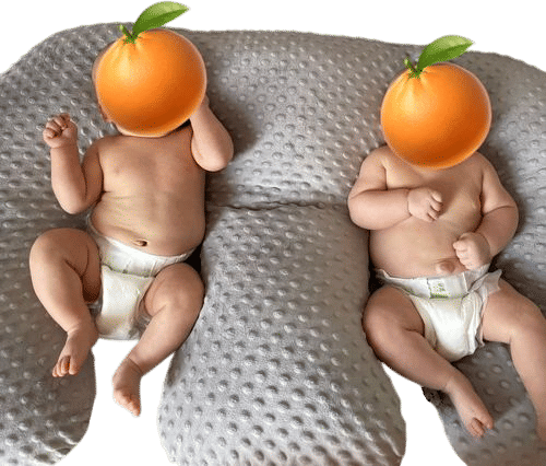 Twin Z Pillow
