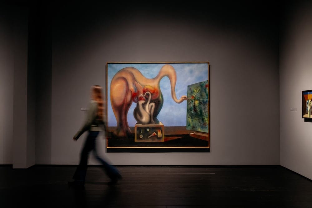 The Menil Collection