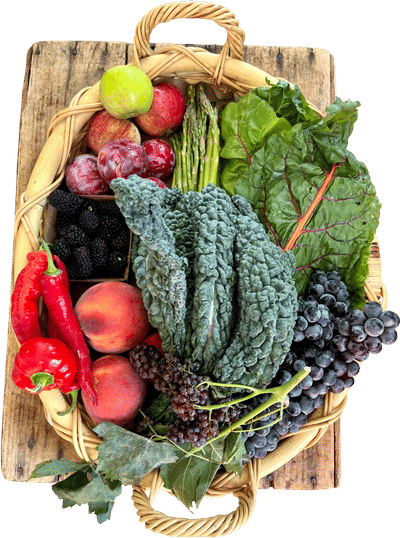LA Homefarm CSA Box