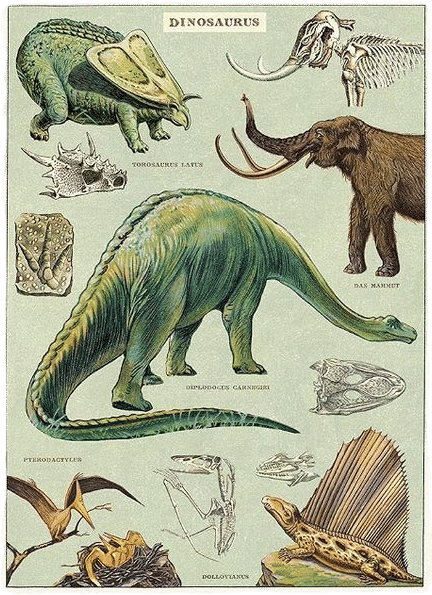 Cavellini Sheet Prints as art