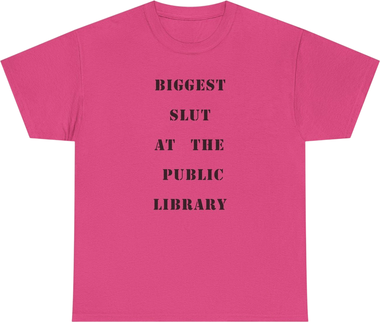 Biggest Slut at the Public Library T-Shirt