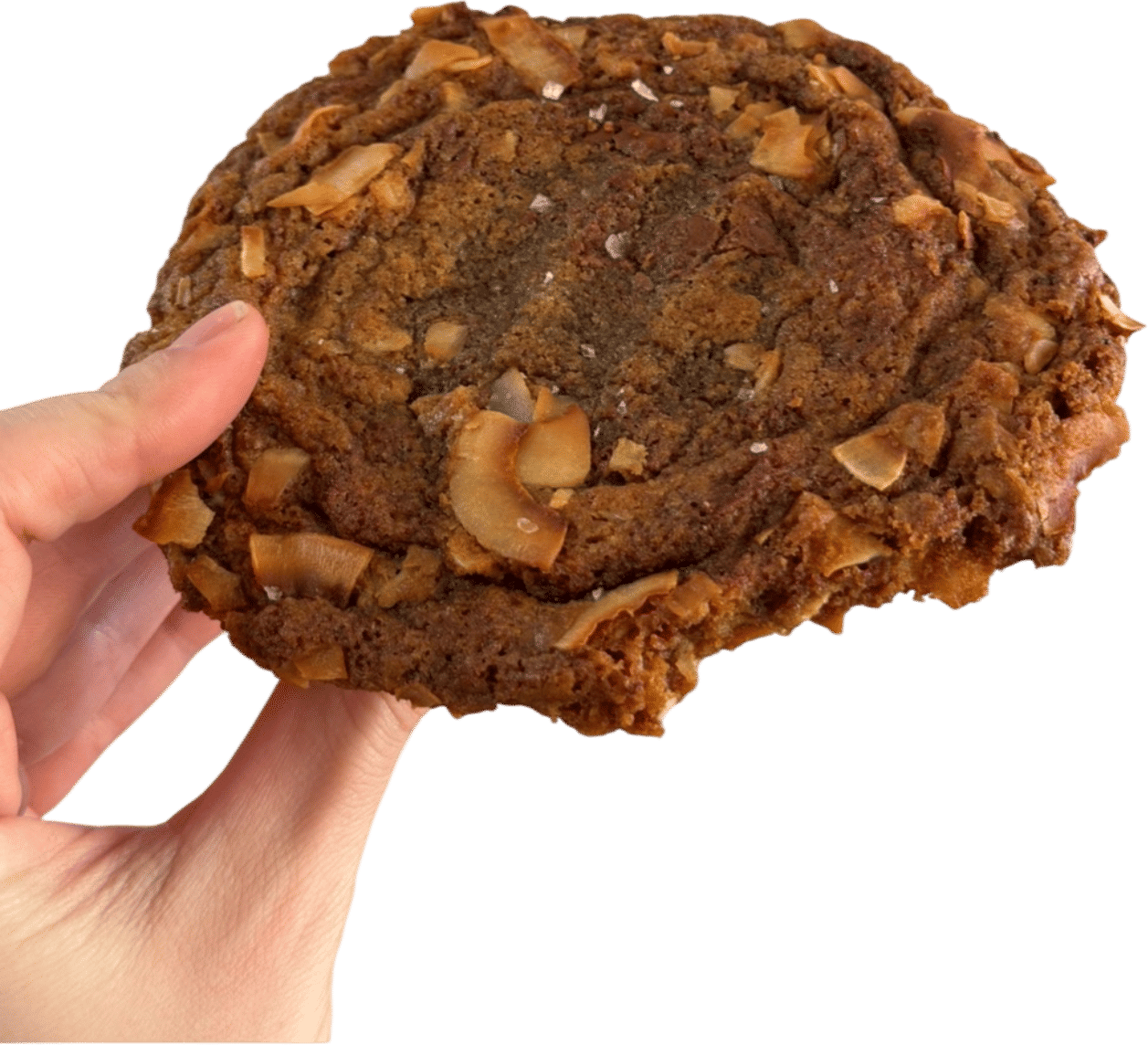 Coconut Caramelized Chocolate Cookie from Gem Home