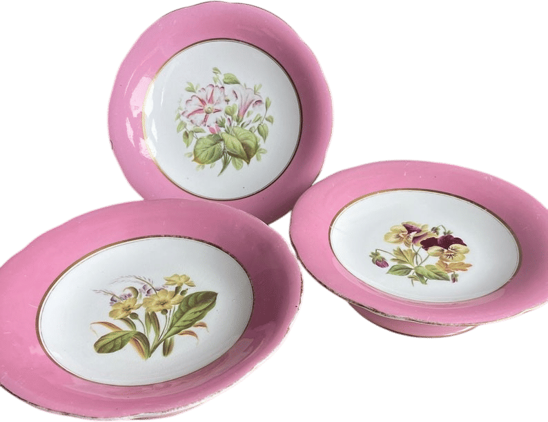 Antique English Botanical Cake Stands 