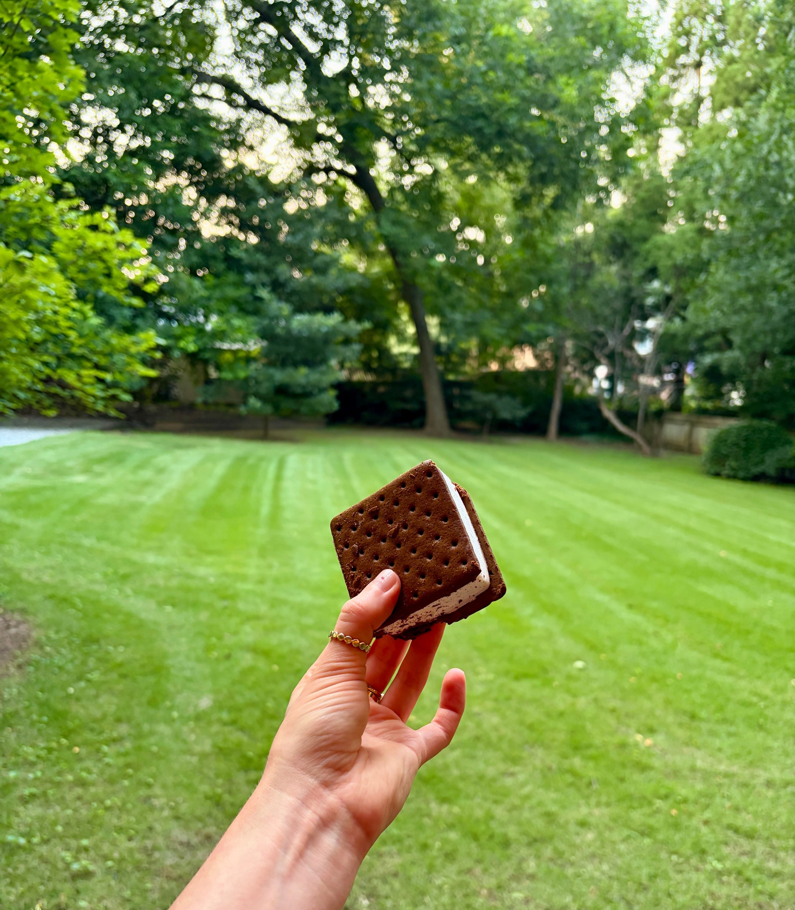 the humble ice cream sandwich